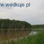 zdjęcie nr 9