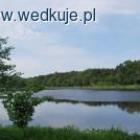 Fotka nr 4 z 9