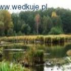 Fotka nr 1 z 9