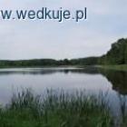 Fotka nr 3 z 9