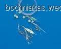 Fotka nr 1 z 2