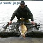 Fotka nr 2 z 5
