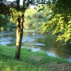 rzeka Liffey