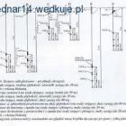 Fotka nr 1 z 3