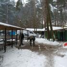 zdjęcie nr 15