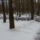 Fotka nr 3 z 15