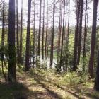 Fotka nr 2 z 3