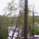 Fotka nr 2 z 7