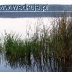 Fotka nr 2 z 3