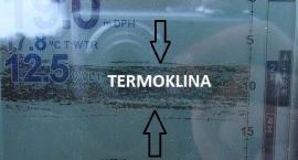 Fotka nr 0 z 2