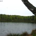 Fotka nr 2 z 3