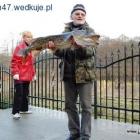zdjęcie nr 27