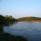 zdjęcie nr 5