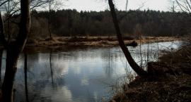 Fotka nr 0 z 17