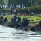 Fotka nr 1 z 3