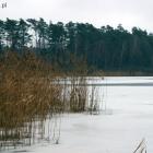 Fotka nr 1 z 2