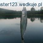 Fotka nr 1 z 5