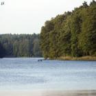 Fotka nr 2 z 3