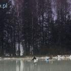 zdjęcie nr 47