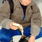 zdjęcie nr 67