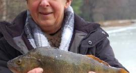 Okoń 1.1 kg - Józef Padewski