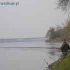 zdjęcie nr 10