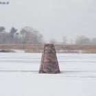zdjęcie nr 37