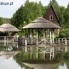 zdjęcie nr 9
