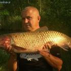 linowy amur