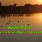 Fotka nr 4 z 5
