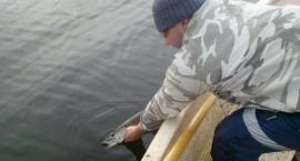 CATCH&RELEASE