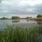 zdjęcie nr 8