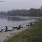 zdjęcie nr 91
