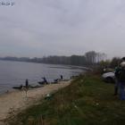 zdjęcie nr 39