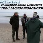 zdjęcie nr 11