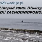 zdjęcie nr 14