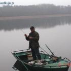 zdjęcie nr 13