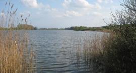 Jezioro Skarbińskie wiosną 2010