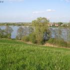 zdjęcie nr 8