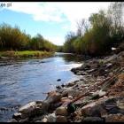 Fly Fishing