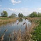 kolejne z wiosny2010