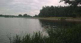 Fotka nr 0 z 8