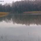 zdjęcie nr 10
