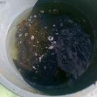 zdjęcie nr 9
