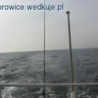 zdjęcie nr 10