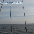 zdjęcie nr 8