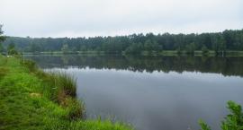 Fotka nr 0 z 5