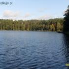 zdjęcie nr 26