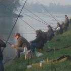 zdjęcie nr 8