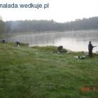 zdjęcie nr 2